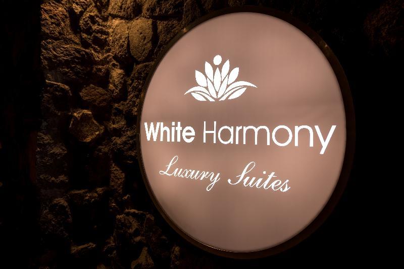 White Harmony Suites Megalochori  Ngoại thất bức ảnh