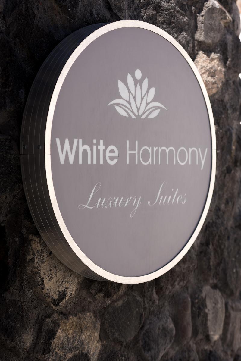 White Harmony Suites Megalochori  Ngoại thất bức ảnh